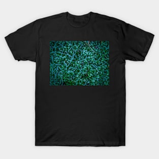 Frosty Grass T-Shirt